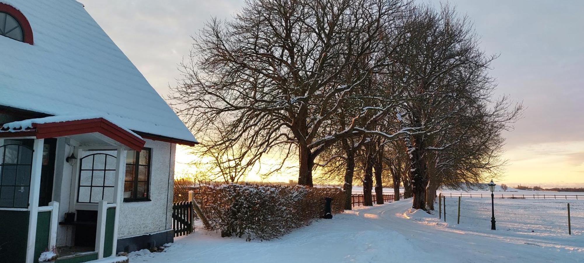 Lantligt Och Lugnt Boende Naera Natur Och Stad Svedala Экстерьер фото
