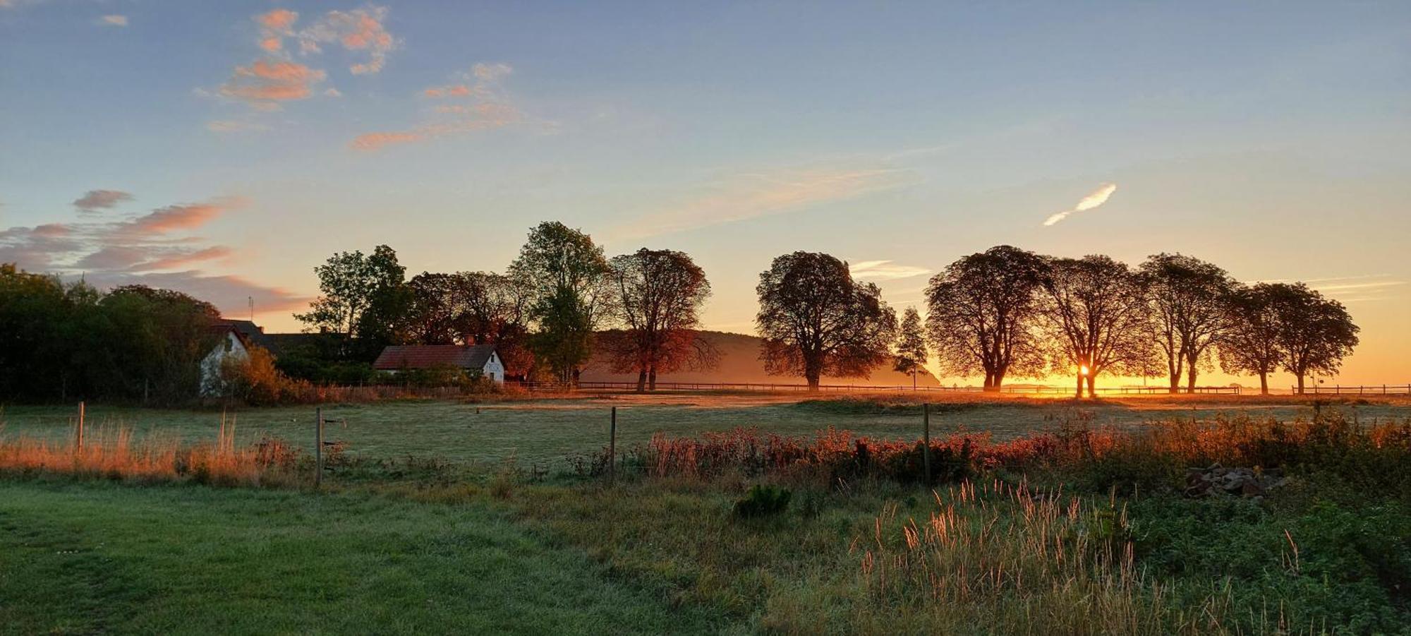 Lantligt Och Lugnt Boende Naera Natur Och Stad Svedala Экстерьер фото