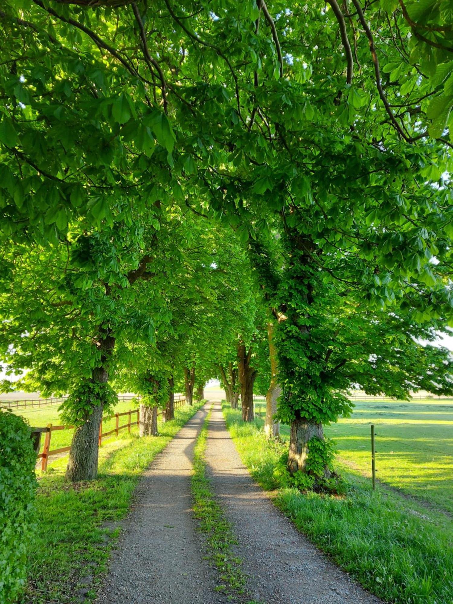 Lantligt Och Lugnt Boende Naera Natur Och Stad Svedala Экстерьер фото