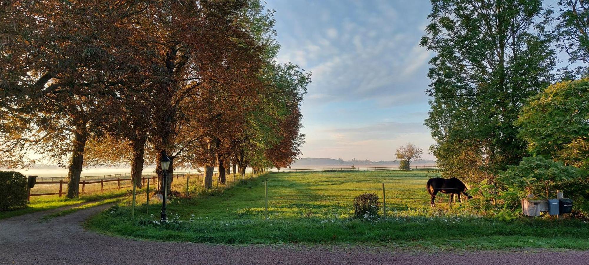 Lantligt Och Lugnt Boende Naera Natur Och Stad Svedala Экстерьер фото