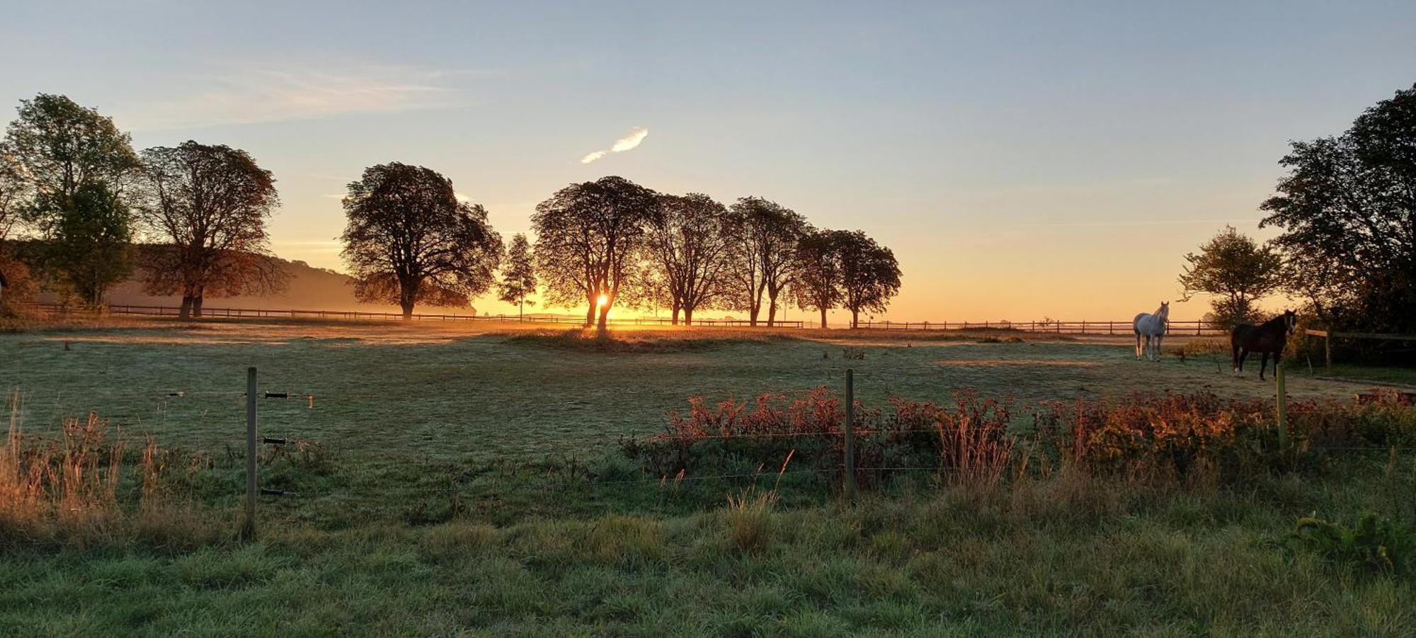Lantligt Och Lugnt Boende Naera Natur Och Stad Svedala Экстерьер фото