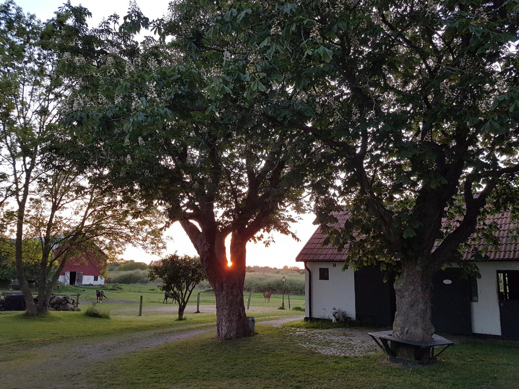 Lantligt Och Lugnt Boende Naera Natur Och Stad Svedala Экстерьер фото