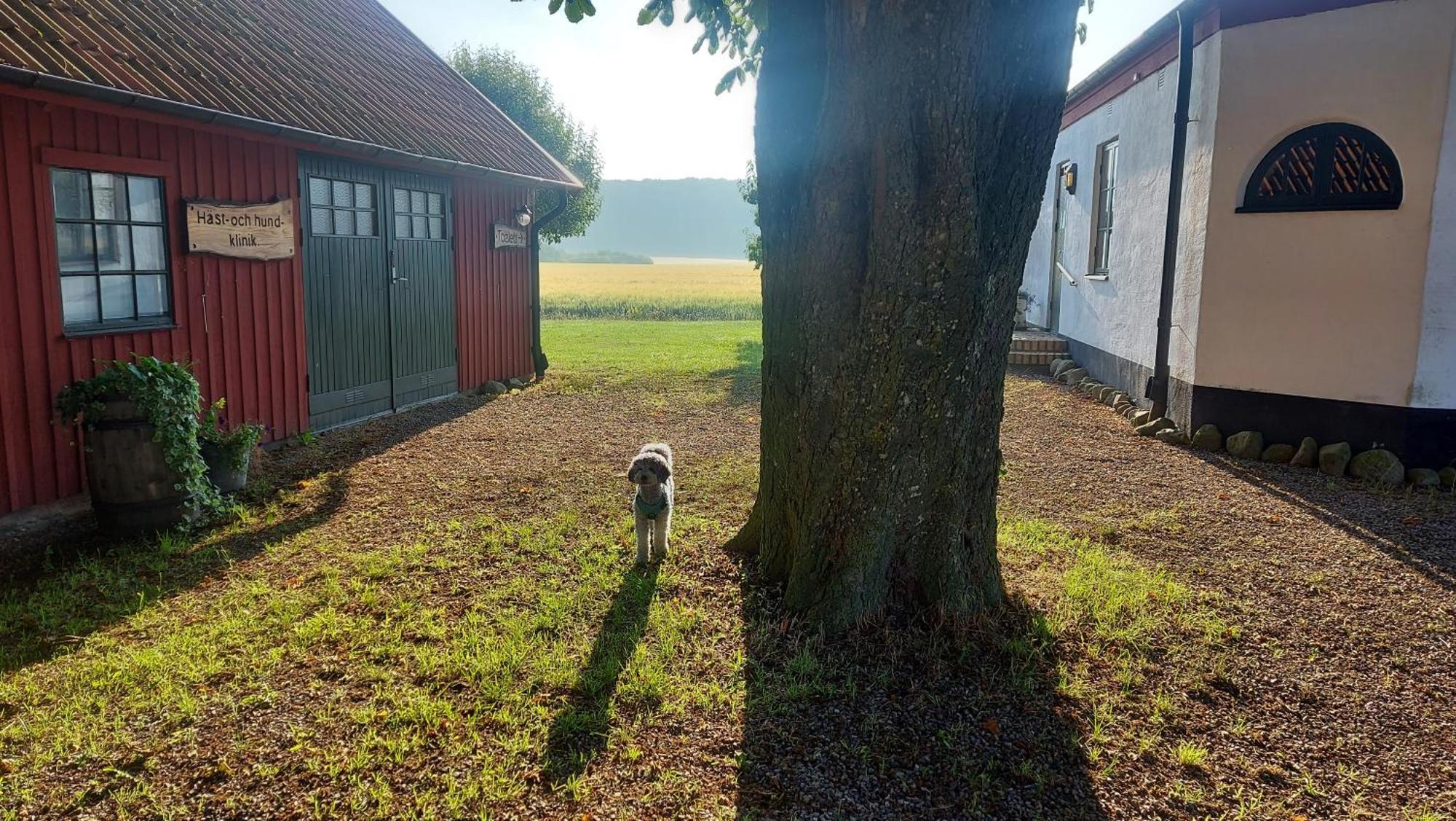 Lantligt Och Lugnt Boende Naera Natur Och Stad Svedala Экстерьер фото