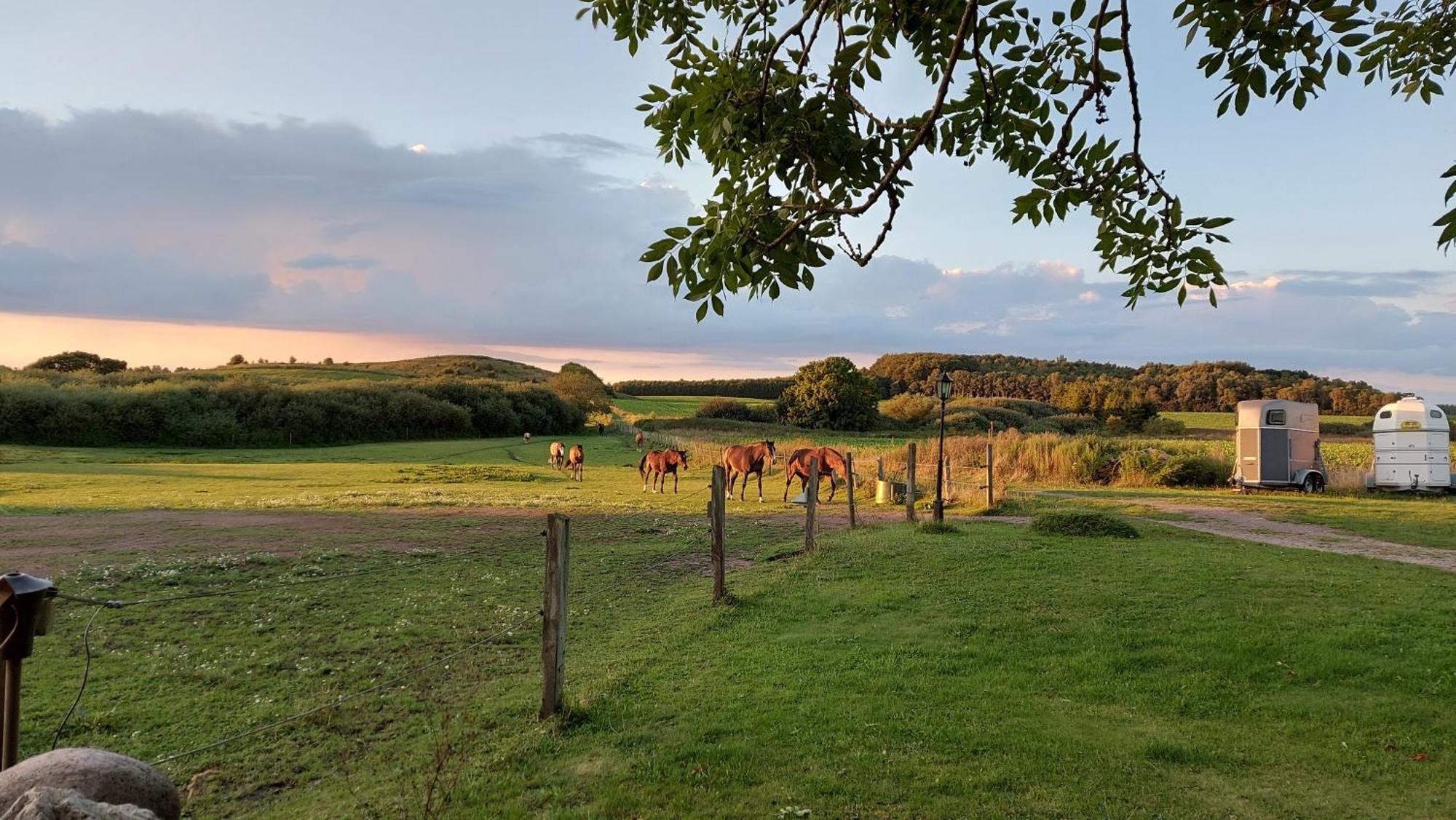 Lantligt Och Lugnt Boende Naera Natur Och Stad Svedala Экстерьер фото